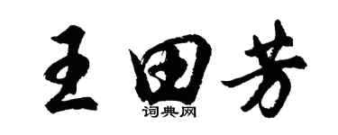 胡問遂王田芳行書個性簽名怎么寫