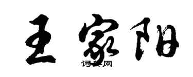 胡問遂王家陽行書個性簽名怎么寫