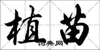 胡問遂植苗行書怎么寫