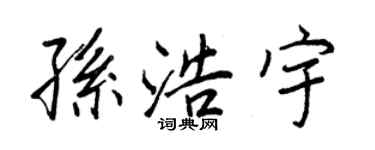 王正良孫浩宇行書個性簽名怎么寫