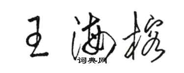 駱恆光王海榕草書個性簽名怎么寫