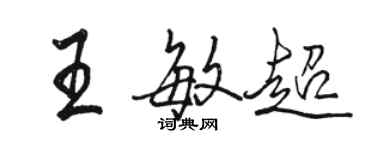 駱恆光王敏超行書個性簽名怎么寫