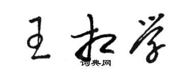 駱恆光王相學草書個性簽名怎么寫