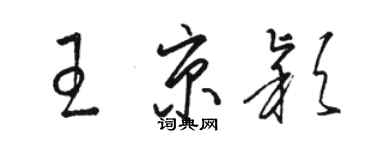 駱恆光王京穎草書個性簽名怎么寫