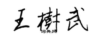 王正良王樹武行書個性簽名怎么寫