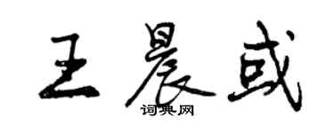 曾慶福王晨或行書個性簽名怎么寫