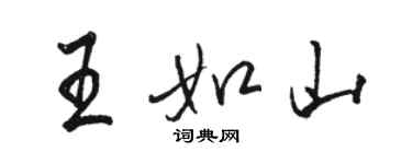 駱恆光王如山行書個性簽名怎么寫