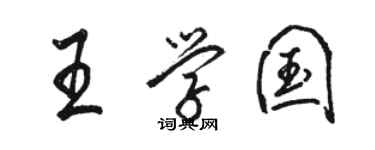 駱恆光王學國行書個性簽名怎么寫