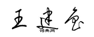 梁錦英王建魯草書個性簽名怎么寫