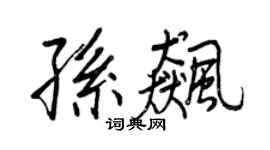 王正良孫飈行書個性簽名怎么寫