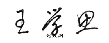 駱恆光王學思草書個性簽名怎么寫