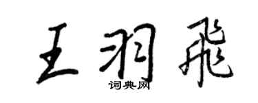 王正良王羽飛行書個性簽名怎么寫