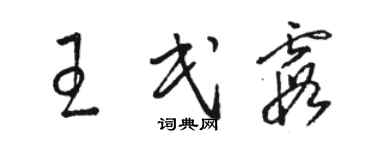 駱恆光王民霞草書個性簽名怎么寫