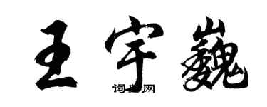 胡問遂王宇巍行書個性簽名怎么寫