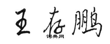 駱恆光王存鵬行書個性簽名怎么寫