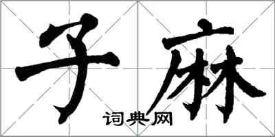 翁闓運子麻楷書怎么寫