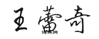 駱恆光王蕾奇行書個性簽名怎么寫