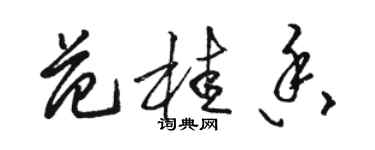 駱恆光范桂香草書個性簽名怎么寫