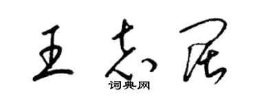 梁錦英王志闊草書個性簽名怎么寫