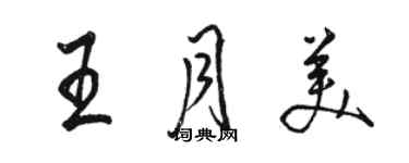 駱恆光王月美行書個性簽名怎么寫