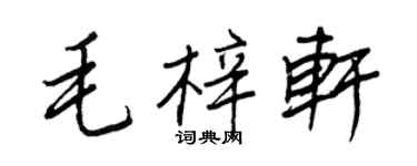 王正良毛梓軒行書個性簽名怎么寫