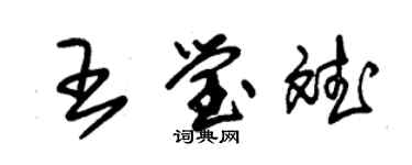 朱錫榮王瑩斌草書個性簽名怎么寫