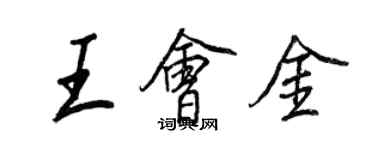 王正良王會金行書個性簽名怎么寫