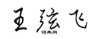 駱恆光王弦飛行書個性簽名怎么寫
