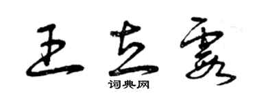 曾慶福王立霞草書個性簽名怎么寫