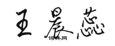 駱恆光王晨蕊行書個性簽名怎么寫