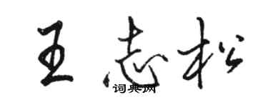 駱恆光王志松行書個性簽名怎么寫