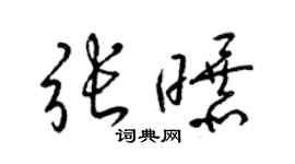 梁錦英張曝草書個性簽名怎么寫