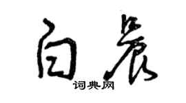 曾慶福白晨草書個性簽名怎么寫
