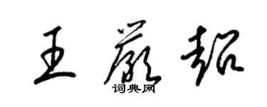 梁錦英王嚴超草書個性簽名怎么寫