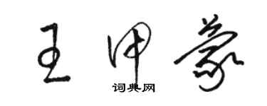 駱恆光王甲蒙草書個性簽名怎么寫