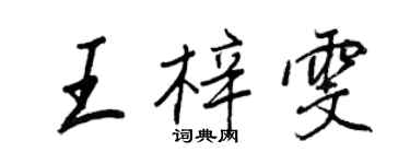 王正良王梓雯行書個性簽名怎么寫