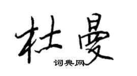 王正良杜曼行書個性簽名怎么寫