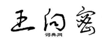 曾慶福王向密草書個性簽名怎么寫