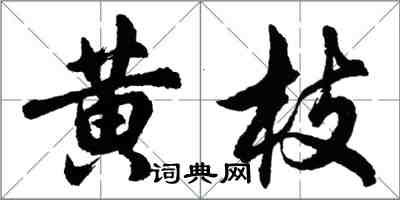 胡問遂黃枝行書怎么寫