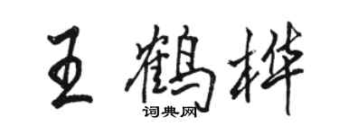 駱恆光王鶴樺行書個性簽名怎么寫