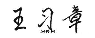 駱恆光王習章行書個性簽名怎么寫