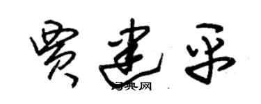 朱錫榮賈建平草書個性簽名怎么寫