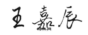 駱恆光王嘉辰行書個性簽名怎么寫