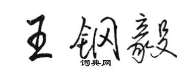 駱恆光王鋼毅行書個性簽名怎么寫