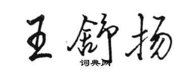 駱恆光王舒揚行書個性簽名怎么寫