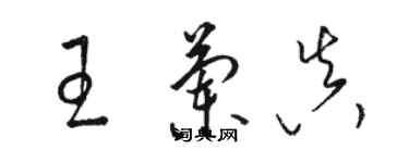 駱恆光王蘭真草書個性簽名怎么寫