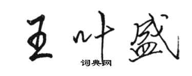 駱恆光王葉盛行書個性簽名怎么寫