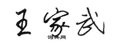 駱恆光王家武行書個性簽名怎么寫