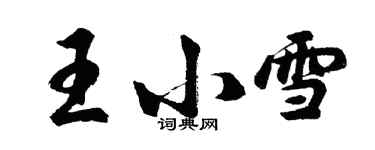 胡問遂王小雪行書個性簽名怎么寫