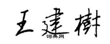 王正良王建樹行書個性簽名怎么寫